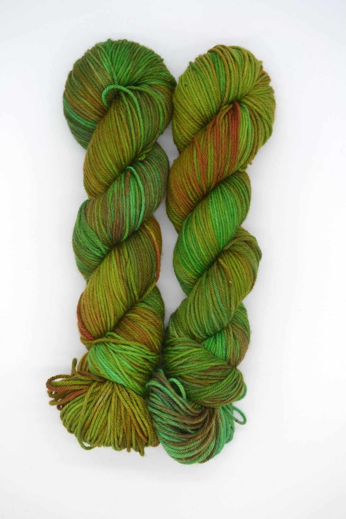 100g DK Jungle Hand-dyed Yarn