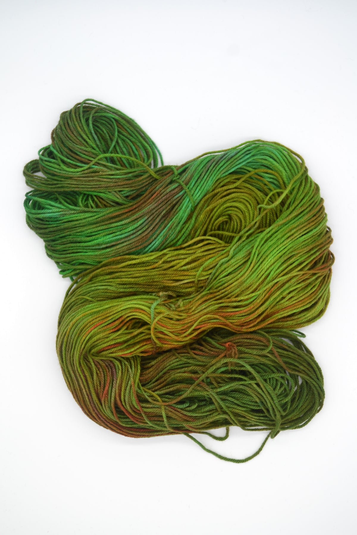 100g DK Jungle Hand-dyed Yarn