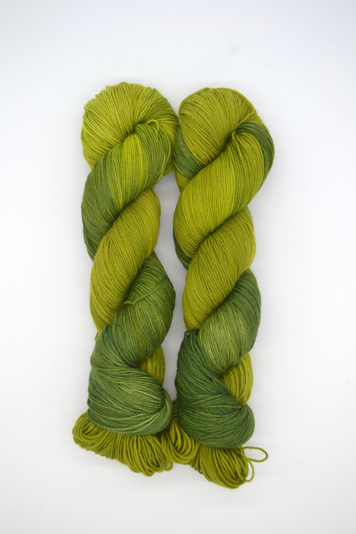 100g Sock Lichen Hand-dyed Yarn