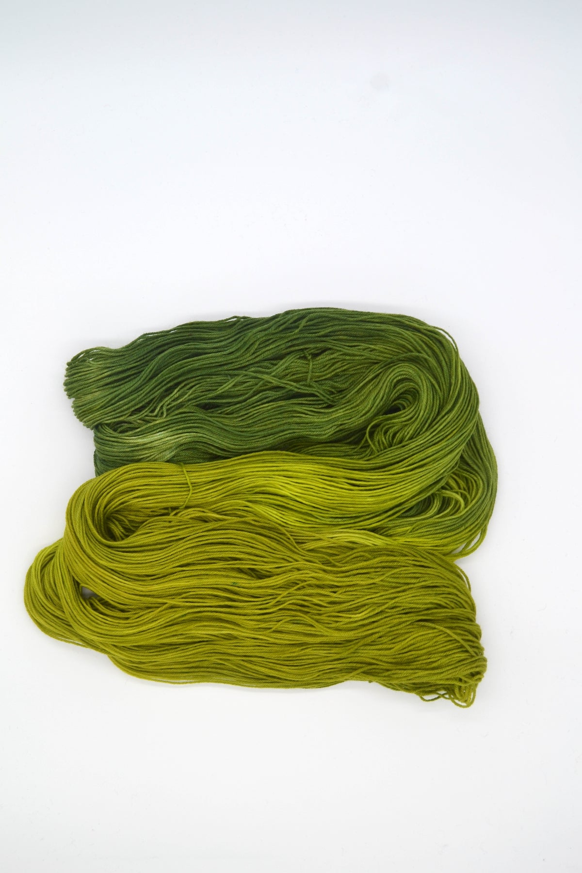 100g Sock Lichen Hand-dyed Yarn