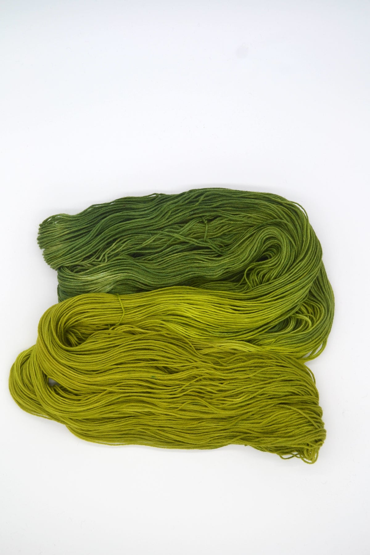 100g Sock Lichen Hand-dyed Yarn