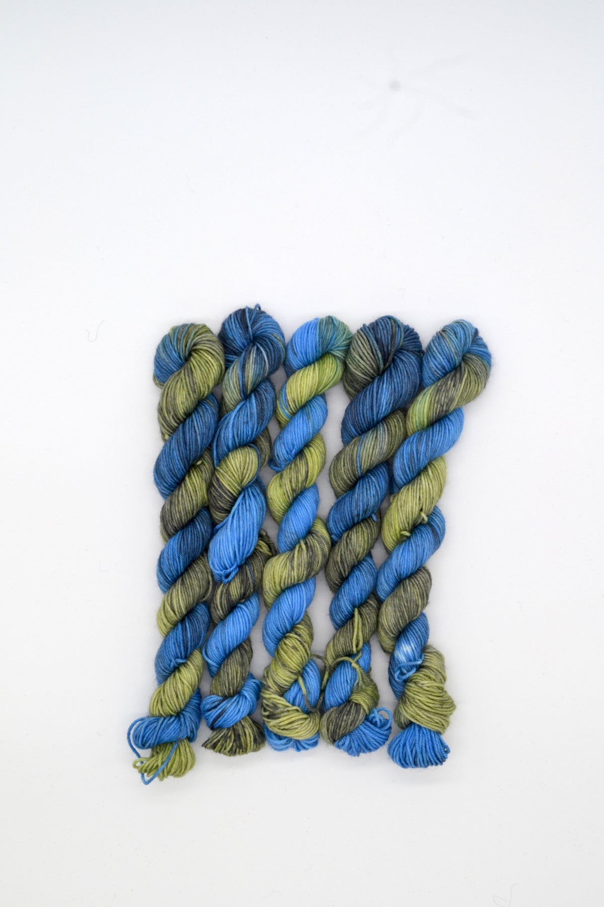 20g Sock Pond Life Mini Skein