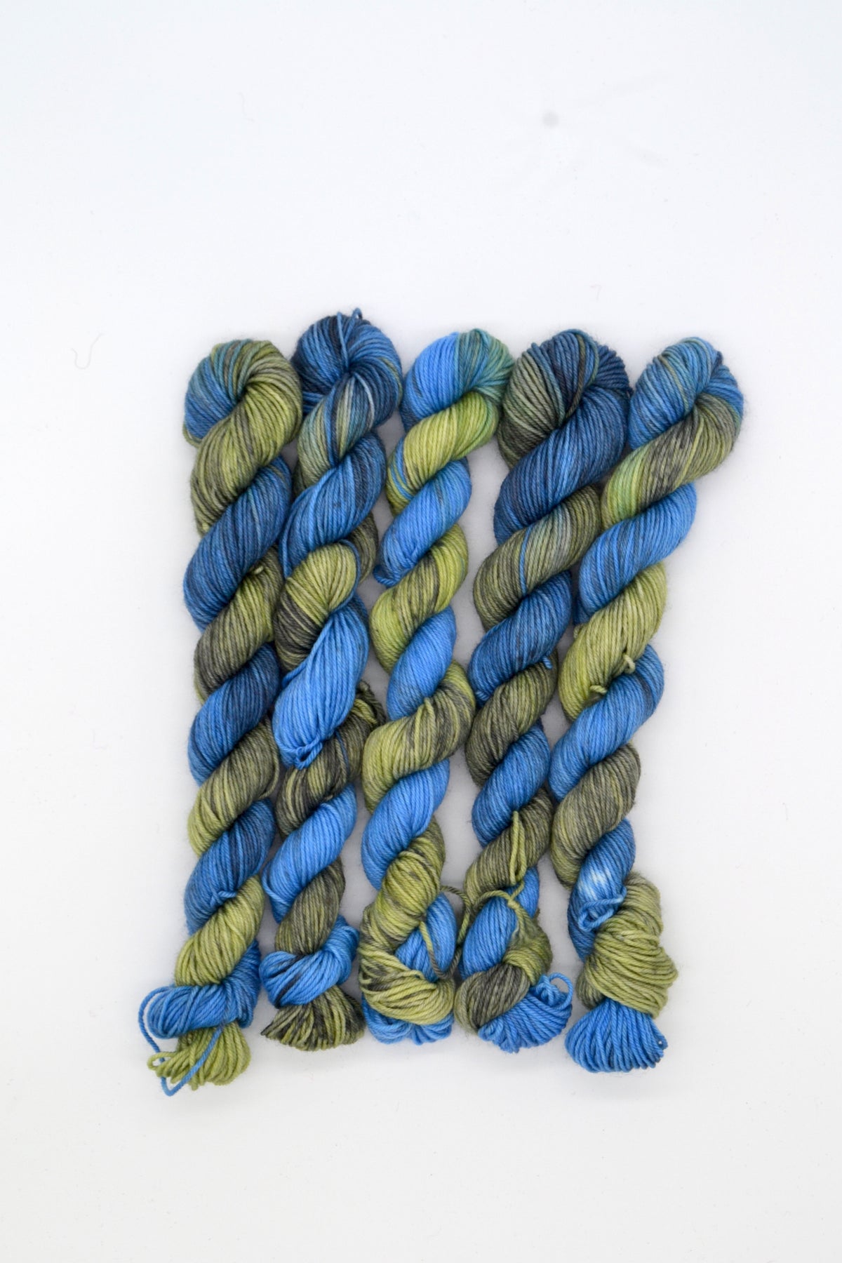 20g Sock Pond Life Mini Skein
