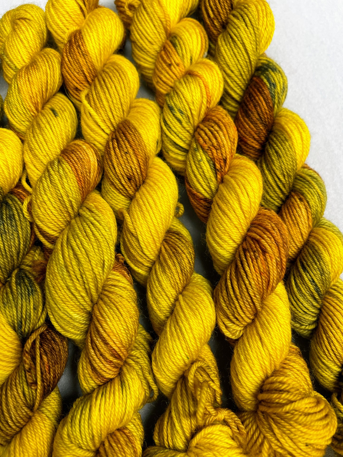 20g Sock Sunflower Seeds Mini Skein