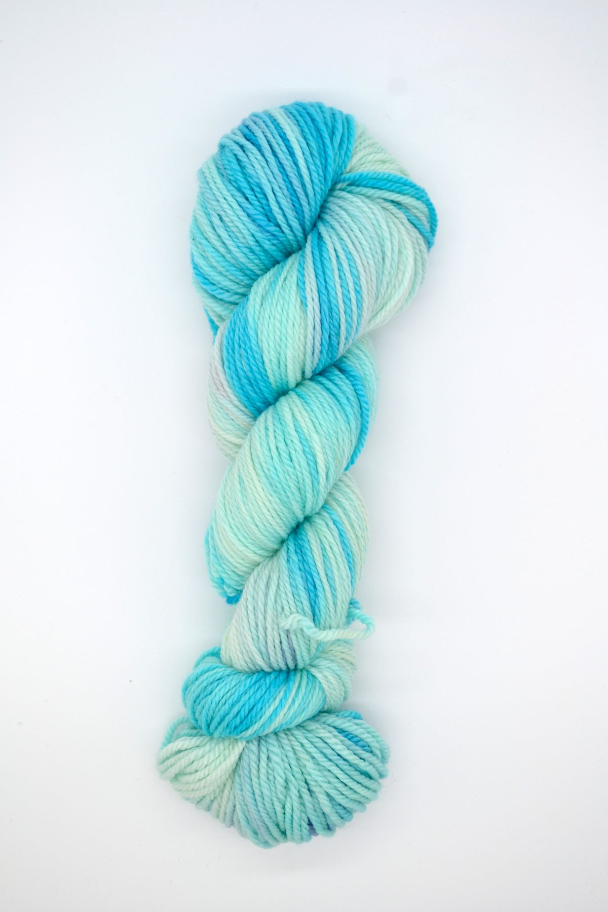 100g Aran Ice Rink Hand-dyed Yarn