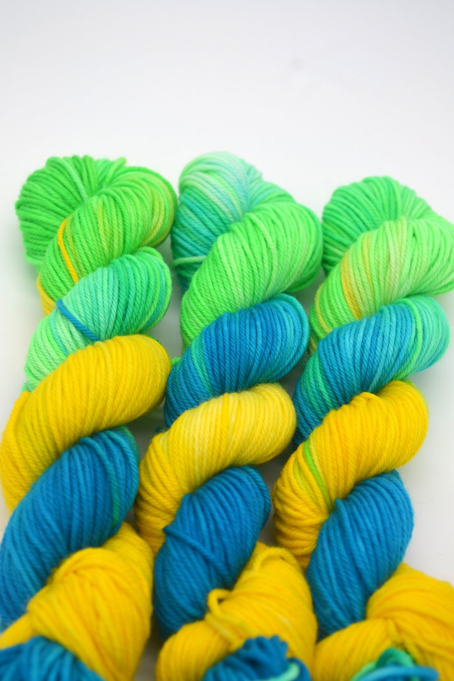 50g DK Parrot Hand-dyed Yarn