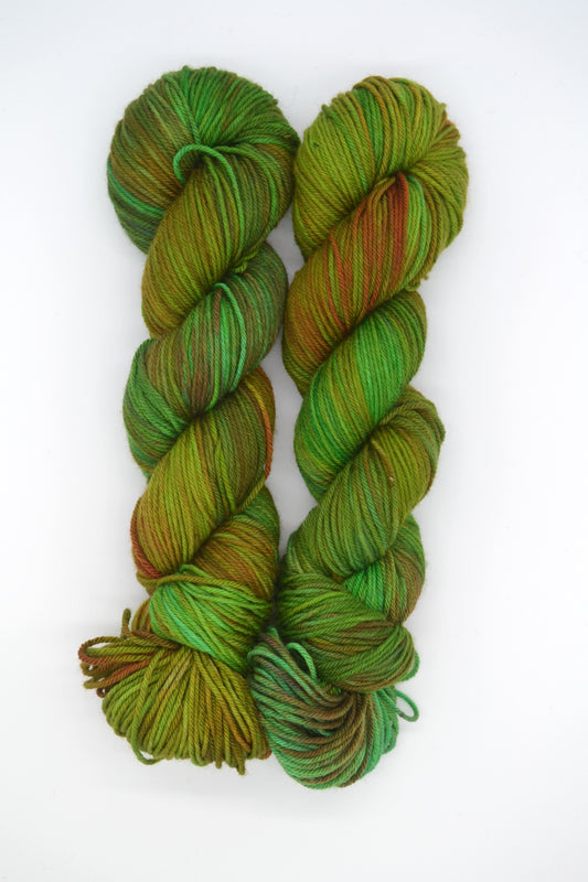 100g DK Jungle Hand-dyed Yarn