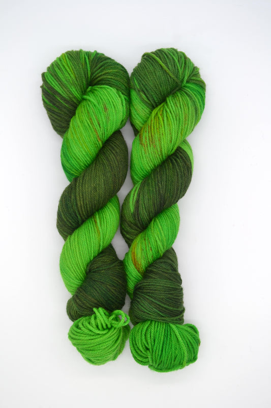100g DK Rainforest Hand-dyed Yarn