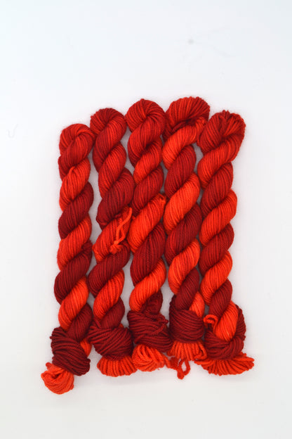 20g DK Campfire Mini Skein