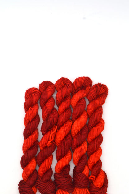 20g DK Campfire Mini Skein