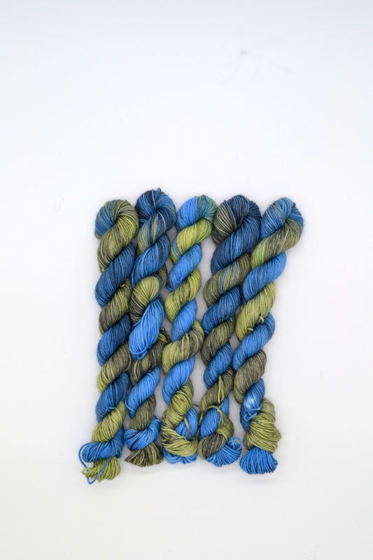 20g Sock Pond Life Mini Skein