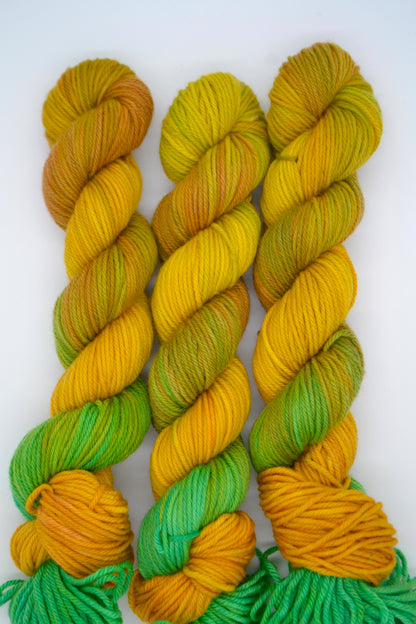 50g DK Golden Tartan Hand-dyed Yarn