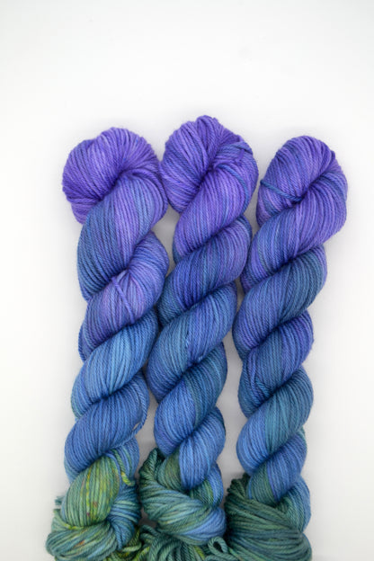 50g DK Frosted Blueberries Hand-dyed Yarn