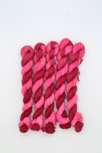 20g Sock Berry Kiss Mini Skein