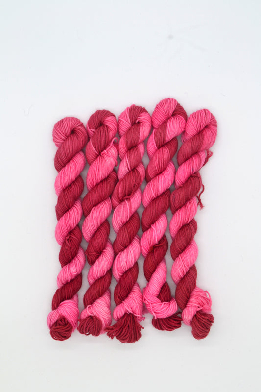 20g Sock Berry Kiss Mini Skein