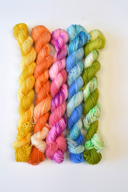 20g Sock - Summer Days Mini Skein Set