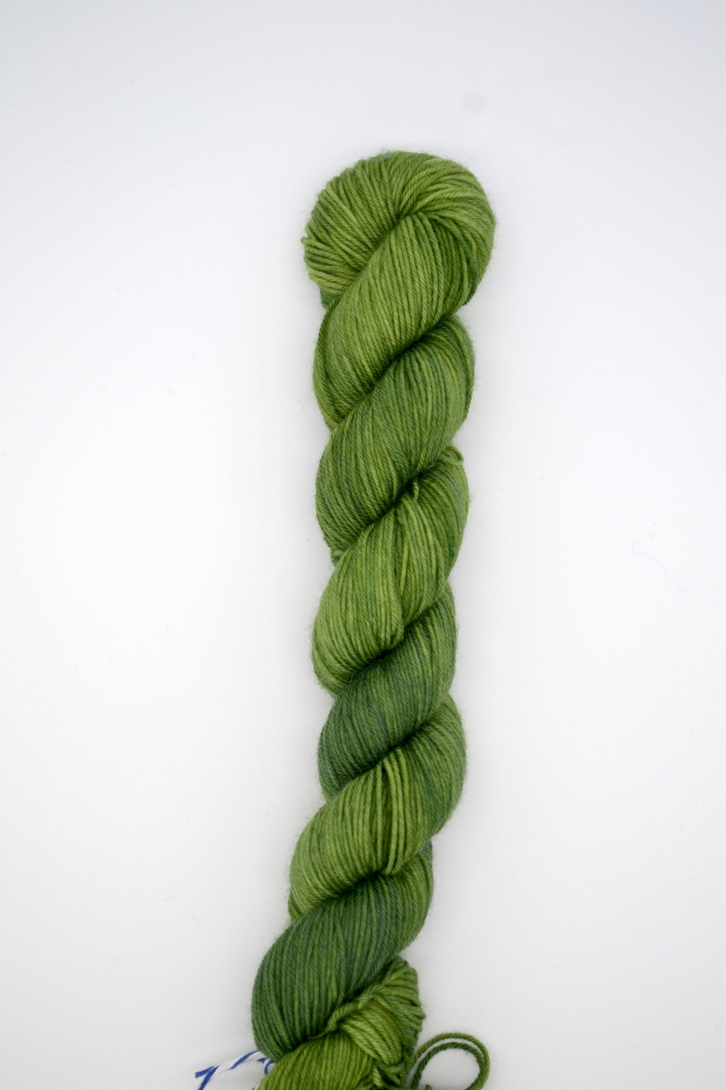 50g Sock Sage Hand-dyed Yarn