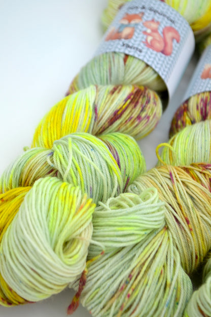 100g Sock The Tropics Hand-dyed Yarn