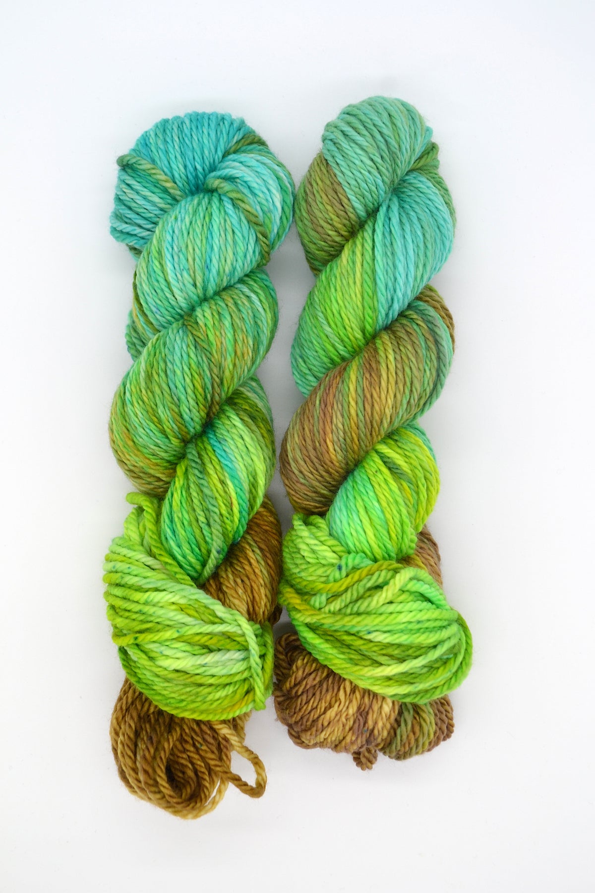 100g Chunky Green Lagoon Hand-dyed Yarn