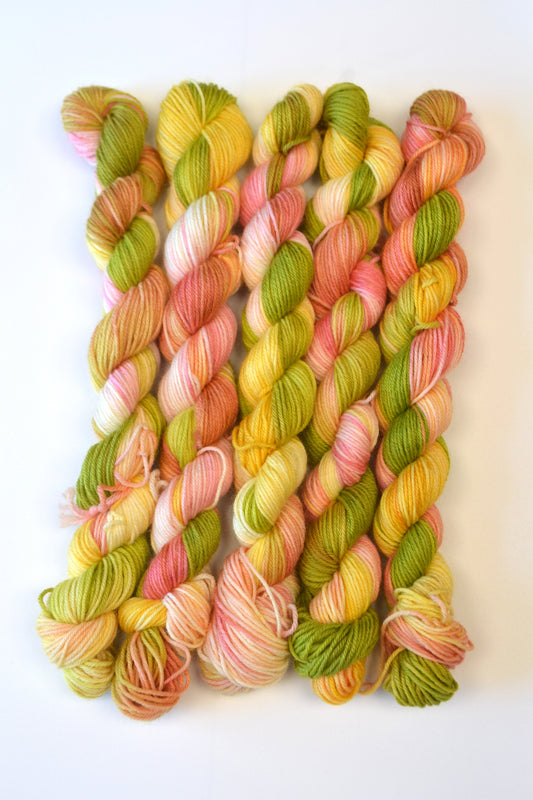 20g Sock Chelsea Rose Mini Skein
