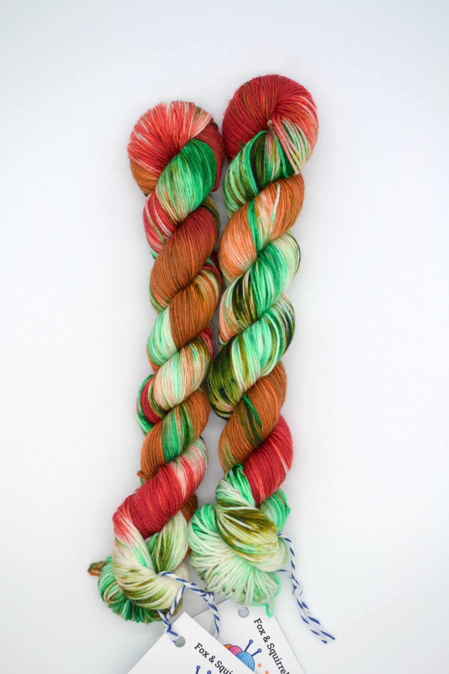 50g Sock Woodland Walks Hand-dyed Yarn