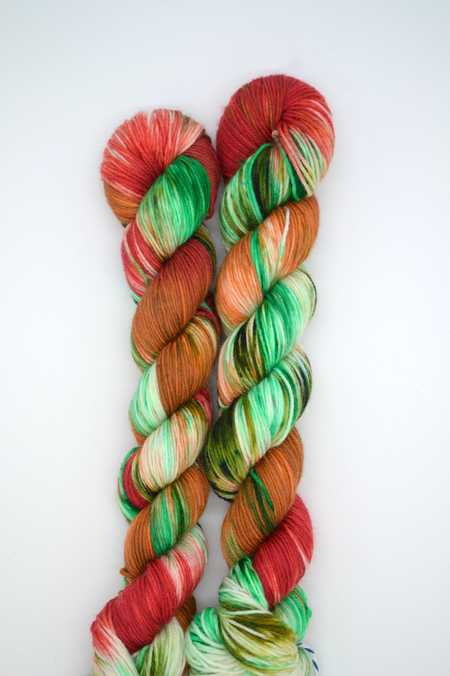 50g Sock Woodland Walks Hand-dyed Yarn