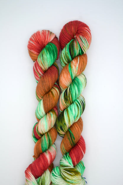 50g Sock Woodland Walks Hand-dyed Yarn
