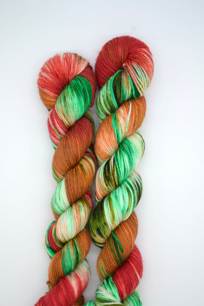 50g Sock Woodland Walks Hand-dyed Yarn