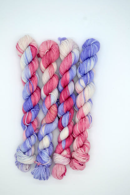 20g Sock Winter Gardens Mini Skein