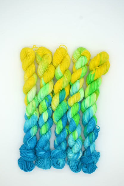 20g Sock Parrot Mini Skein