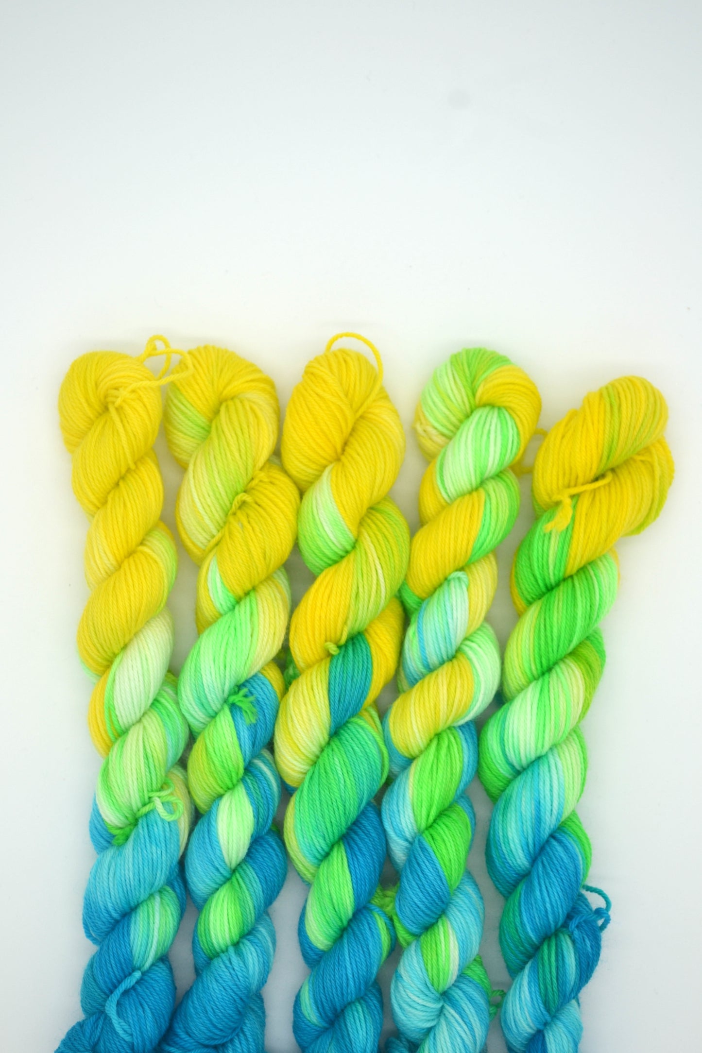 20g Sock Parrot Mini Skein