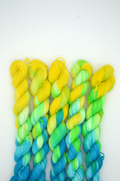 20g Sock Parrot Mini Skein