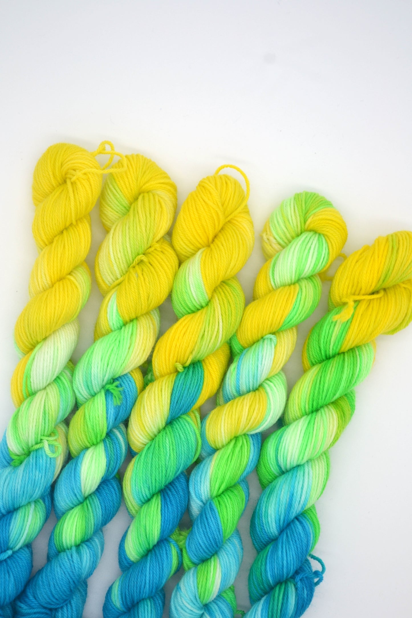 20g Sock Parrot Mini Skein