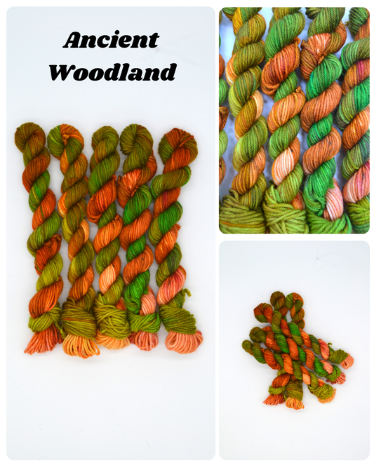 20g DK Ancient Woodland Mini Skein