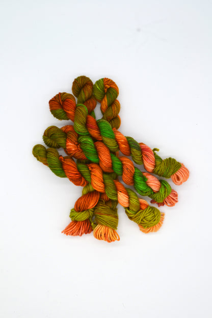 20g DK Ancient Woodland Mini Skein