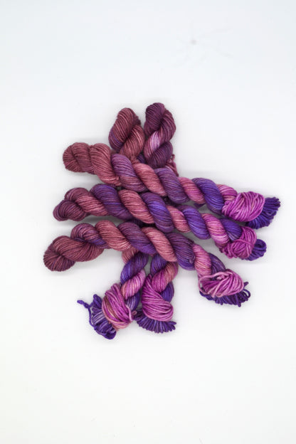 20g DK Grape Juice Mini Skein