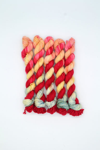 20g DK Strawberries 'n' Cream Mini Skein