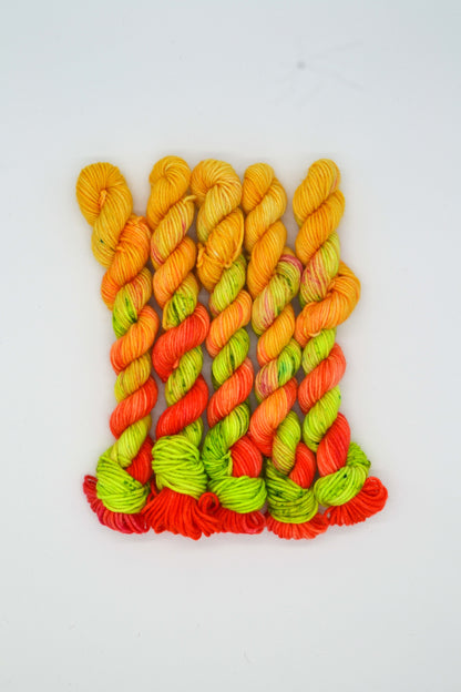 20g DK Summer Watermelon Mini Skein