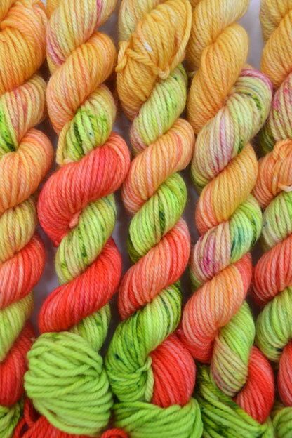 20g DK Summer Watermelon Mini Skein