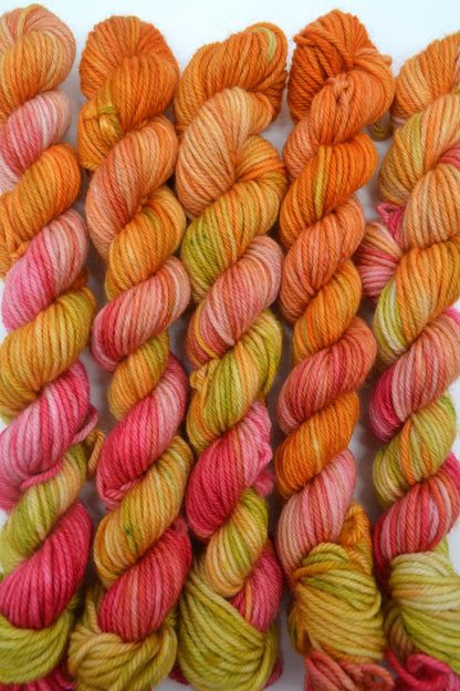20g DK Sunkissed Mini Skein