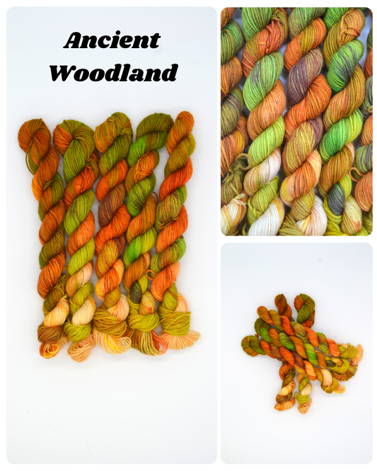 20g Sock Ancient Woodland Mini Skein