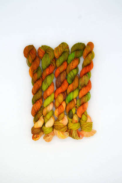 20g Sock Ancient Woodland Mini Skein