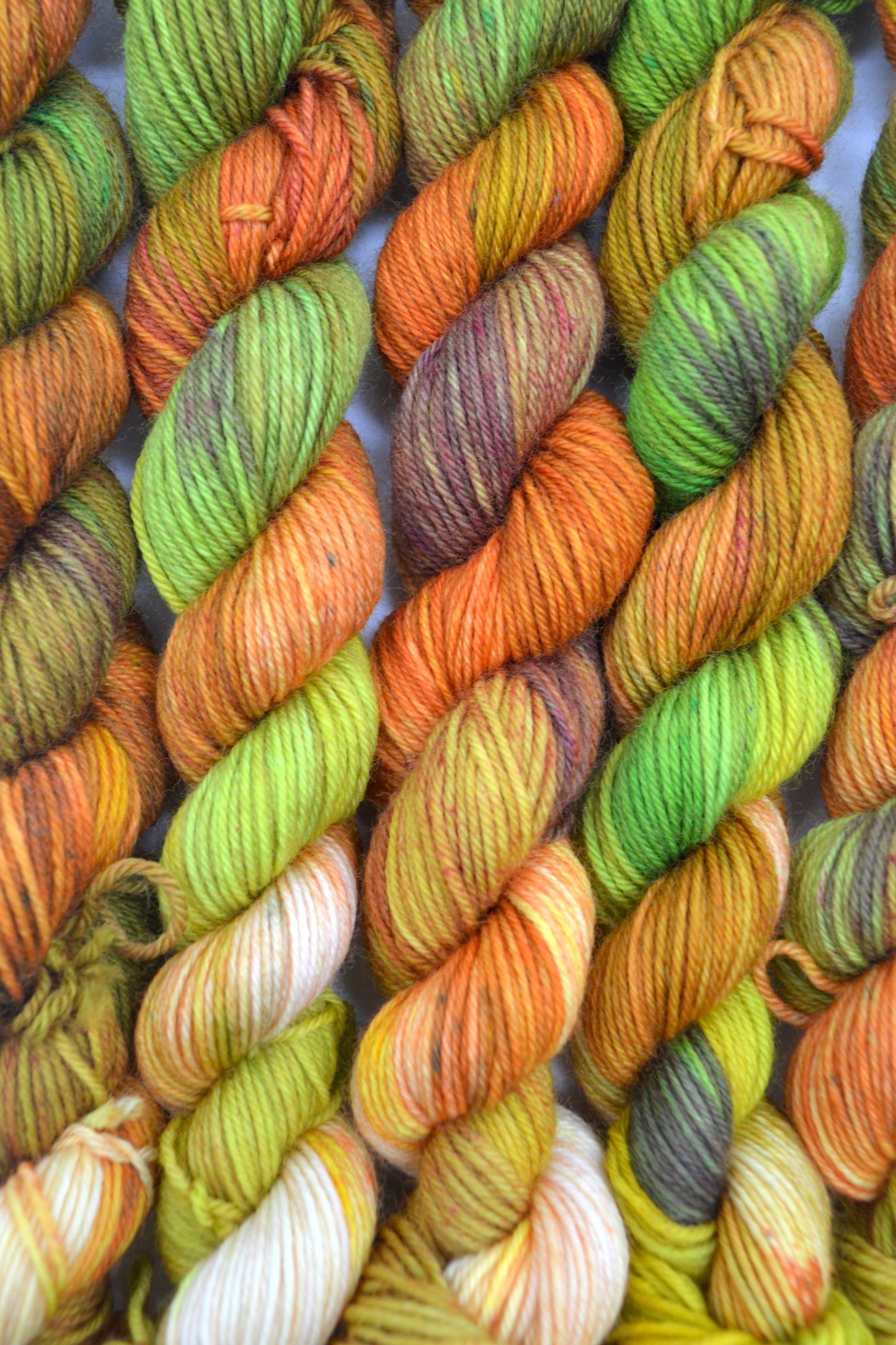 20g Sock Ancient Woodland Mini Skein