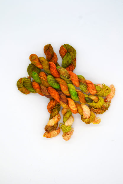20g Sock Ancient Woodland Mini Skein