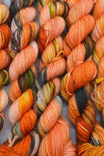 20g Sock Cheetah Mini Skein
