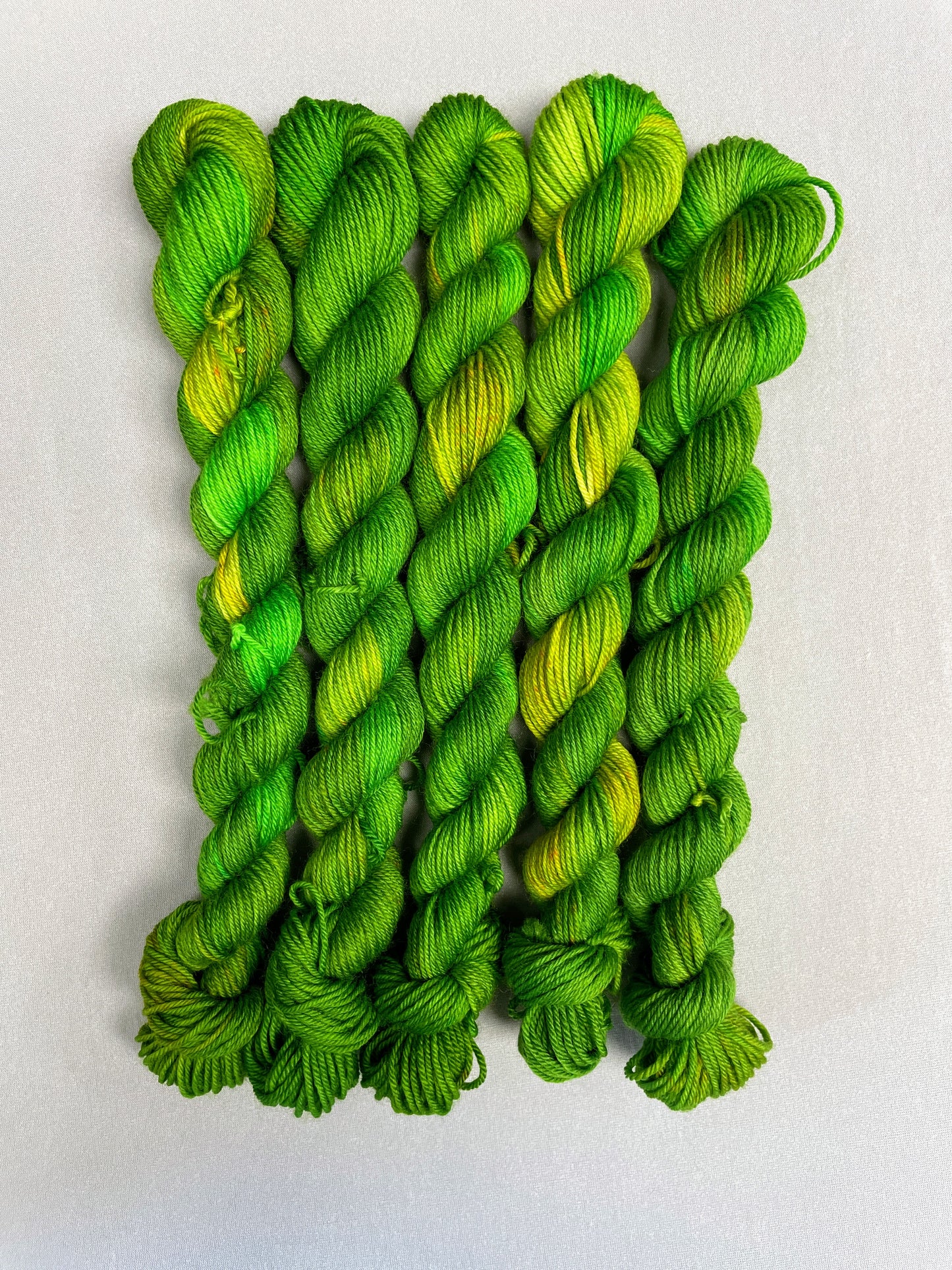 20g Sock Parakeet Mini Skein