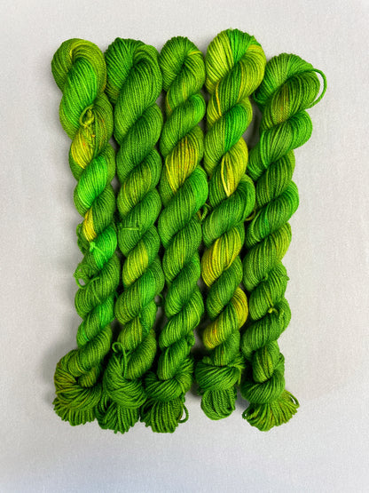 20g Sock Parakeet Mini Skein