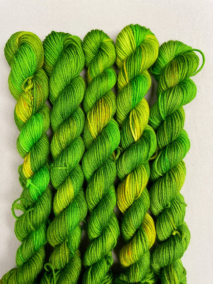 20g Sock Parakeet Mini Skein