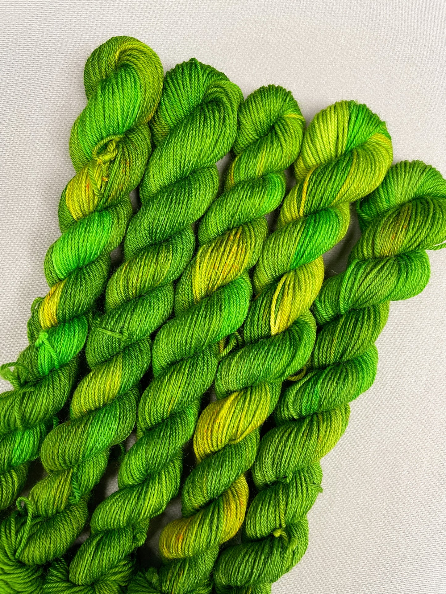 20g Sock Parakeet Mini Skein