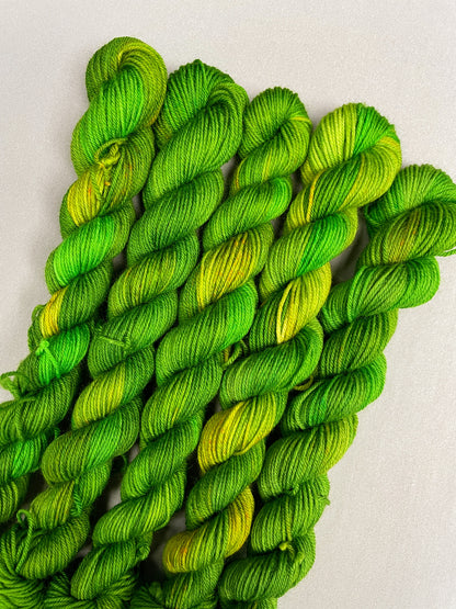 20g Sock Parakeet Mini Skein